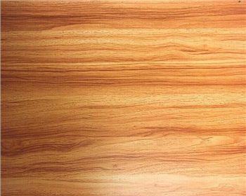 青海東北楊-青海生態(tài)板