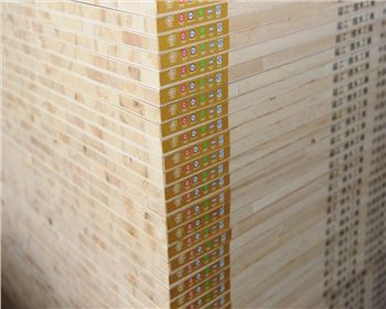 給大家簡述一下細木工板的一些知識，趕快來學習吧！